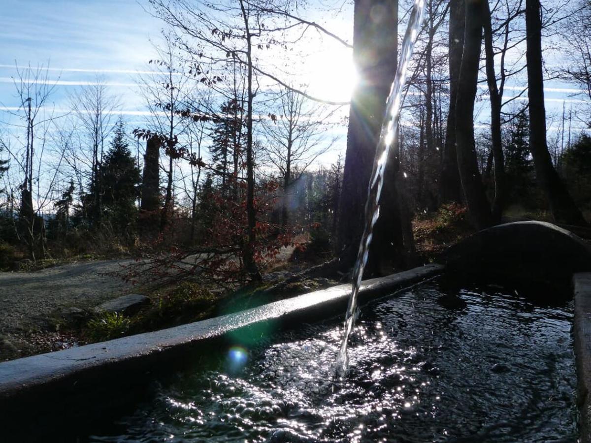 Hotel-Gasthof zum Bach Neukirchen beim Heiligen Blut Exterior foto